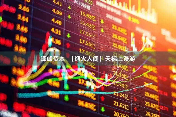 泽峰资本  【烟火人间】天梯上漫游