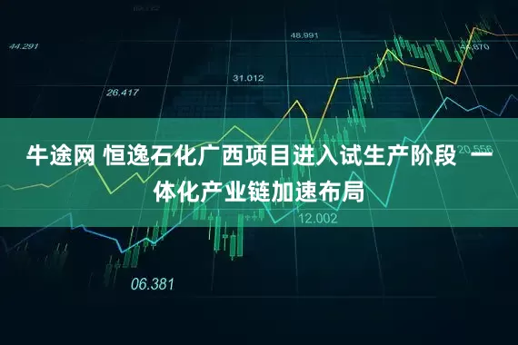 牛途网 恒逸石化广西项目进入试生产阶段  一体化产业链加速布局