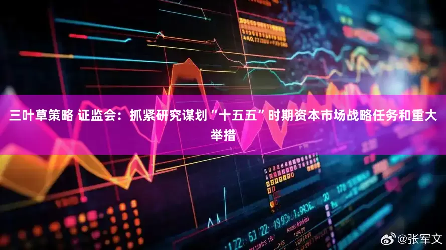三叶草策略 证监会：抓紧研究谋划“十五五”时期资本市场战略任务和重大举措